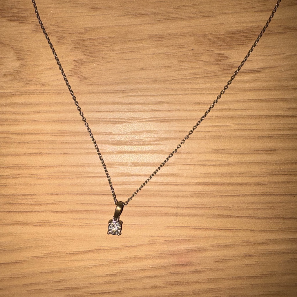 Fred Meyer Jewelers Diamond Necklace Used